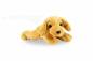 Preview: Kuschel Hunde